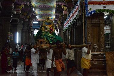 Meenakshi Temple, Madurai,_DSC_7949_H600